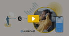 Watch the assistive listening webinar replay: a speaker’s voice streams over Bluetooth Auracast to a student’s headphones and a phone listing classroom broadcasts.